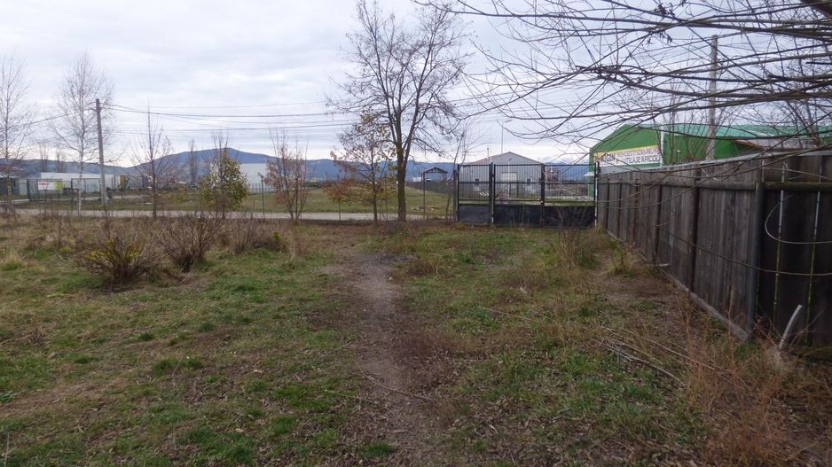 Proprietate deosebita - casa cu curte si livada - Poză 6