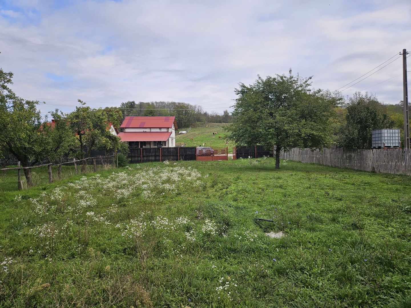 Casă de Vânzare în Albota, Sat Mareș – Liniște și Natură la Doar 10 Km - Poză 12