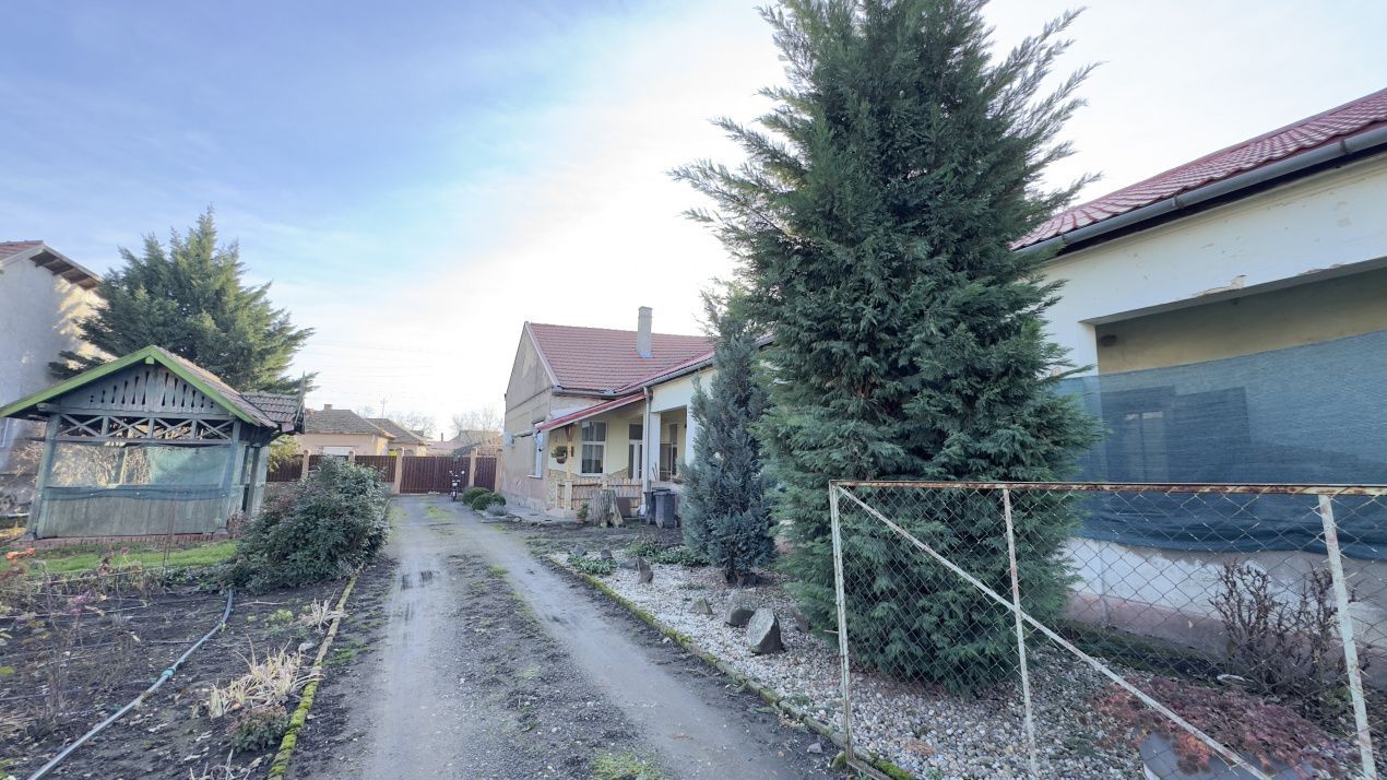 Casă 4 camere cu Teren 2.974 mp | Rezidență sau afacere | Carei - Poză 12