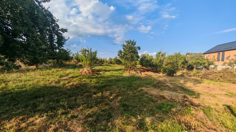 Teren intravilan 1.600 mp Mioveni – Zona Pruni - Poză 7
