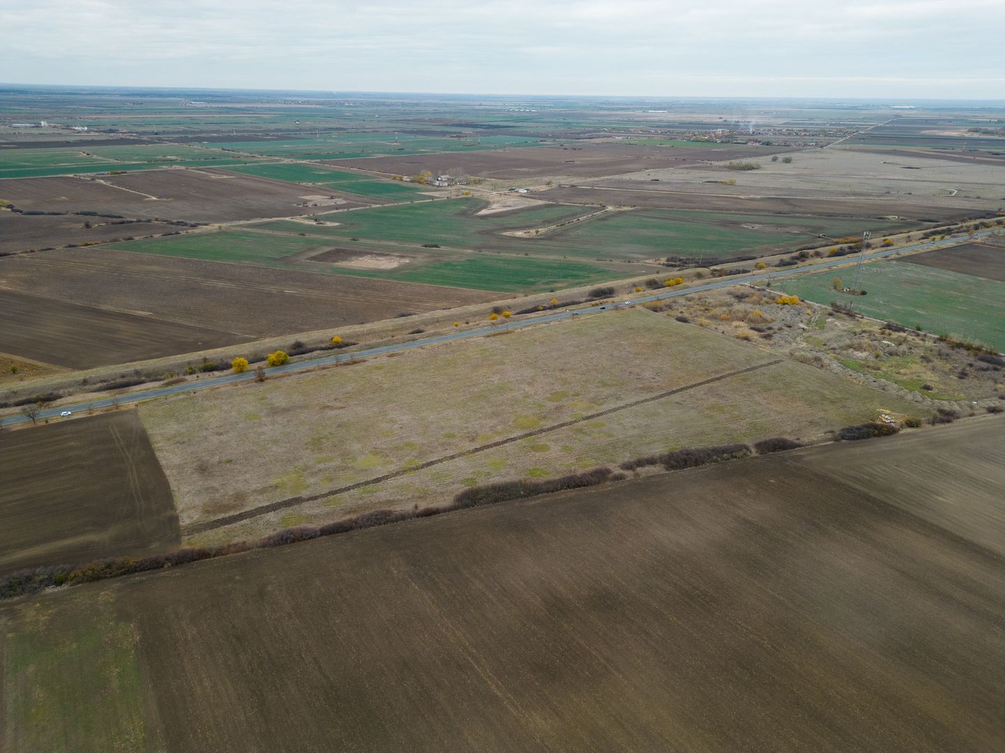 Teren 22.500 mp – Pecica, jud. Arad - Poză 7