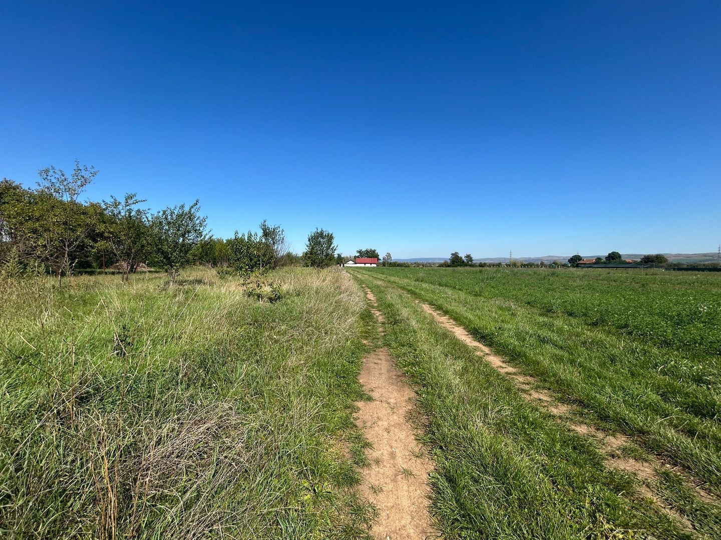 Teren intravilan, 5700mp - Teius - Poză 4