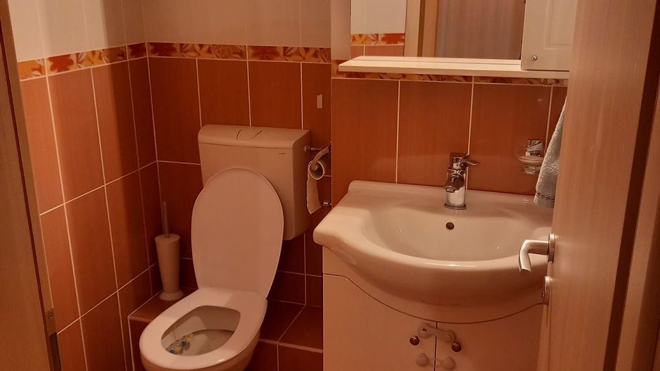Complex-Studentesc | 3 Camere | Decomandat | Centrala Proprie. - Poză 5