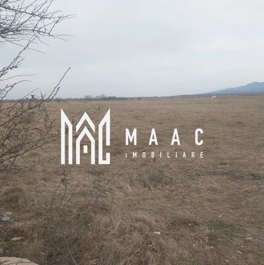 Teren intravilan I Valea Avrigului I 5000 mp - Poză 4