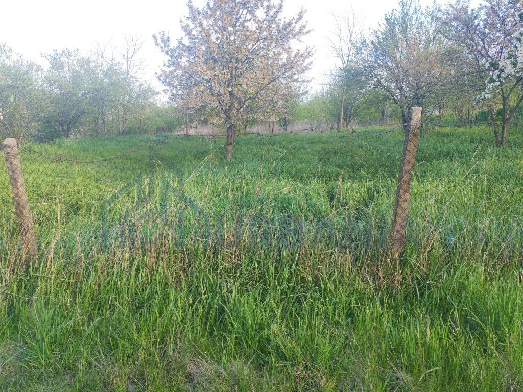 Teren intravilan de vânzare în sat Vânători, comuna Popricani, județul Iași - Poză 1