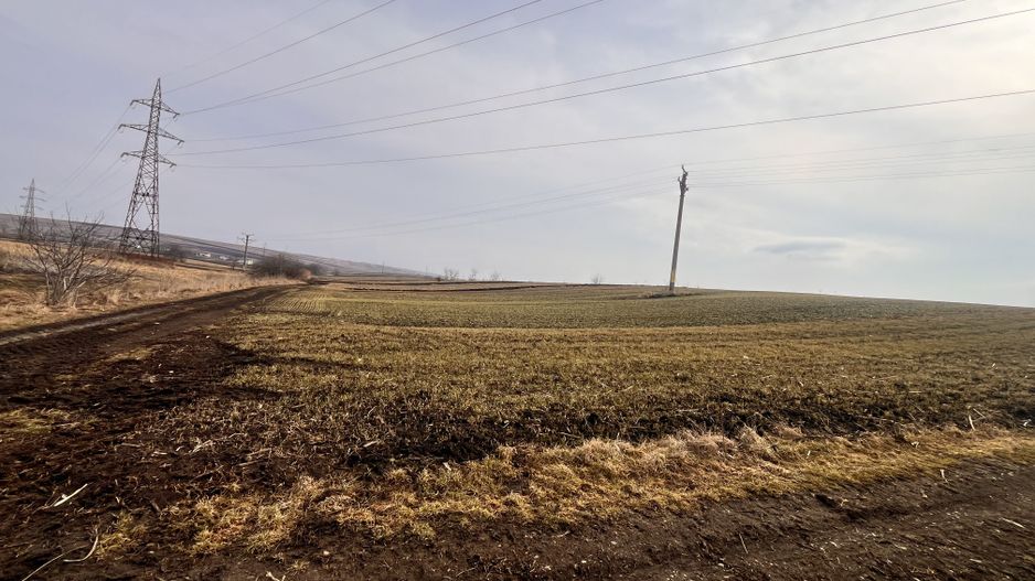 Teren Intravilan de Vânzare 33 Ari | Suceava/Ipotesti I 75.900 Euro - Poză 3