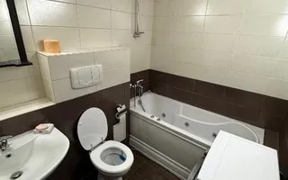 Apartament 2 camere | Herăstrău | Loc de parcare | Boxa | PET FRIENDLY - Poză 15