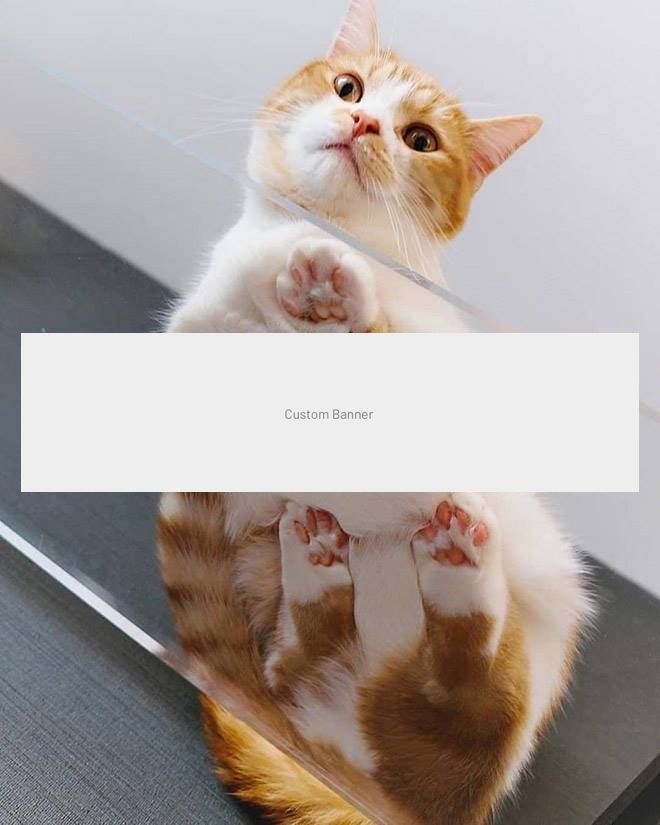 APARTAMENT NOICE CU CHIRIASI LA PACHET - Poză 2