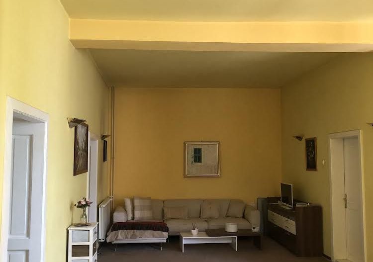 Vila generoasa,destinatii multiple - Poză 20