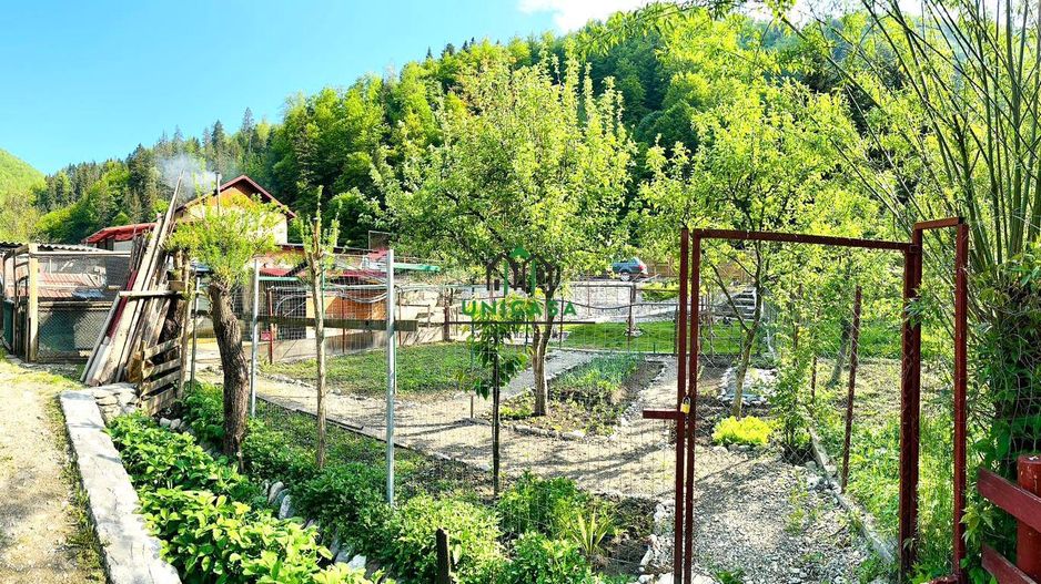 Casa de vacanta / Pensiune / Voineasa - Poză 13