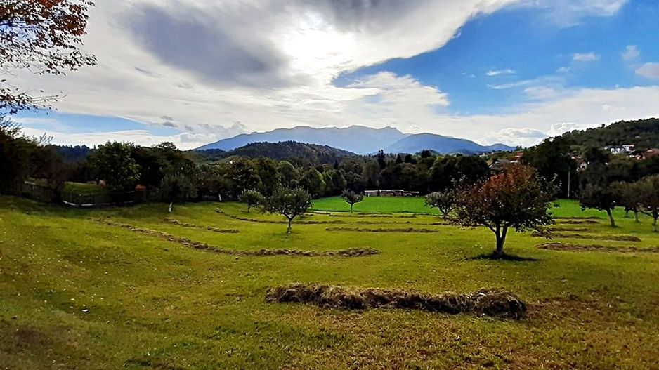 Teren superb de 16240mp, parcelabil, in Bran la intrare in Moeciu de Jos - Poză 19