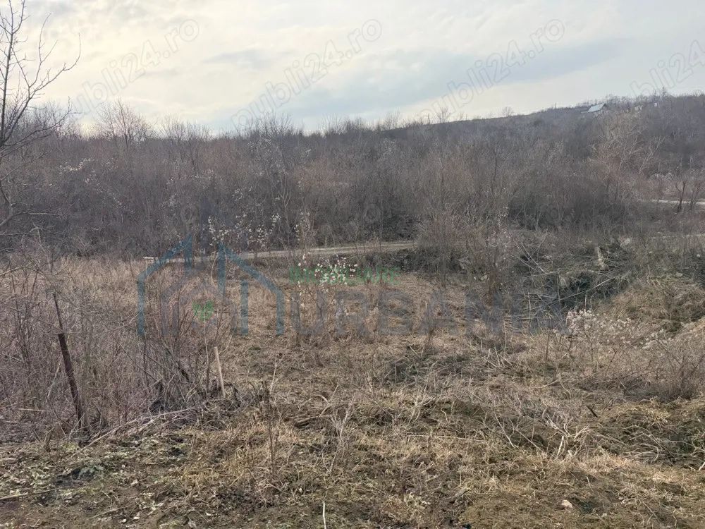 Teren cu priveliste superba, Vladiceni Iasi - Poză 4