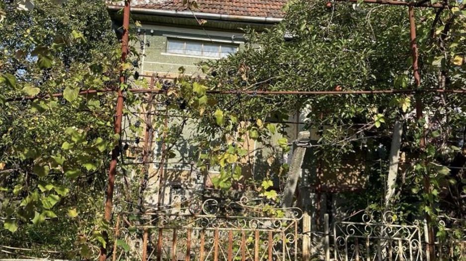 Vand casa la tara - Poză 8