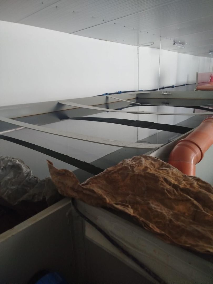 Pensiune + fermă piscicolă (sturion/caviar) | Saru Dornei/Sarisor - Poză 18