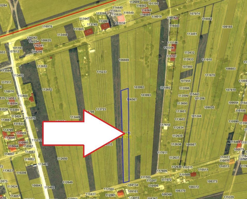 Teren Intravilan 2.500 mp – Lazu | Ideal Dezvoltare Rezidențială - Poză 1