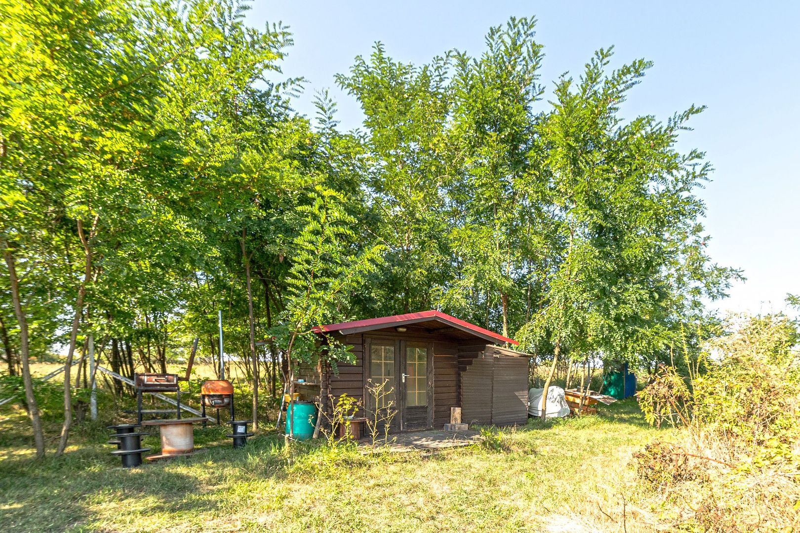 Pret redus Teren generos, intravilan in Șimand - Poză 7