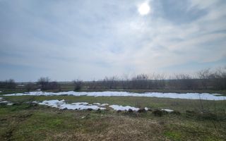Teren intravilan 3,4 Ha Ciorogarla str.  Nicolae Iorga - Poză 5