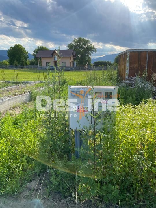 Teren de vanzare Alexandru cel Bun 20.000 Euro 735mp - Poză 5