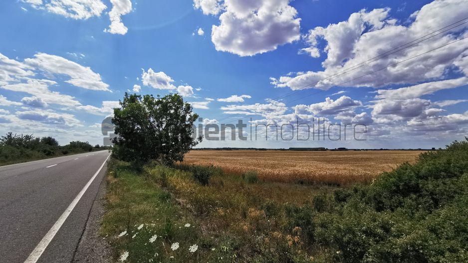 De vânzare teren extravilan, 11,600 mp, Salonta - Poză 7