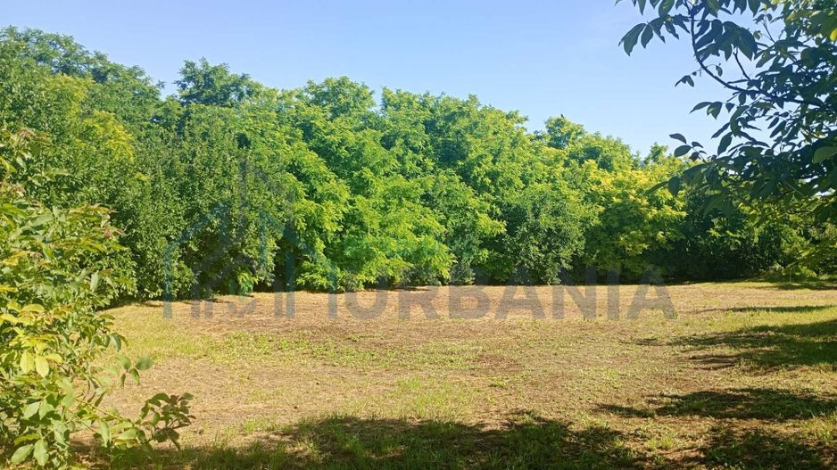 Teren intravilan în centrul localității Cârniceni - Poză 1