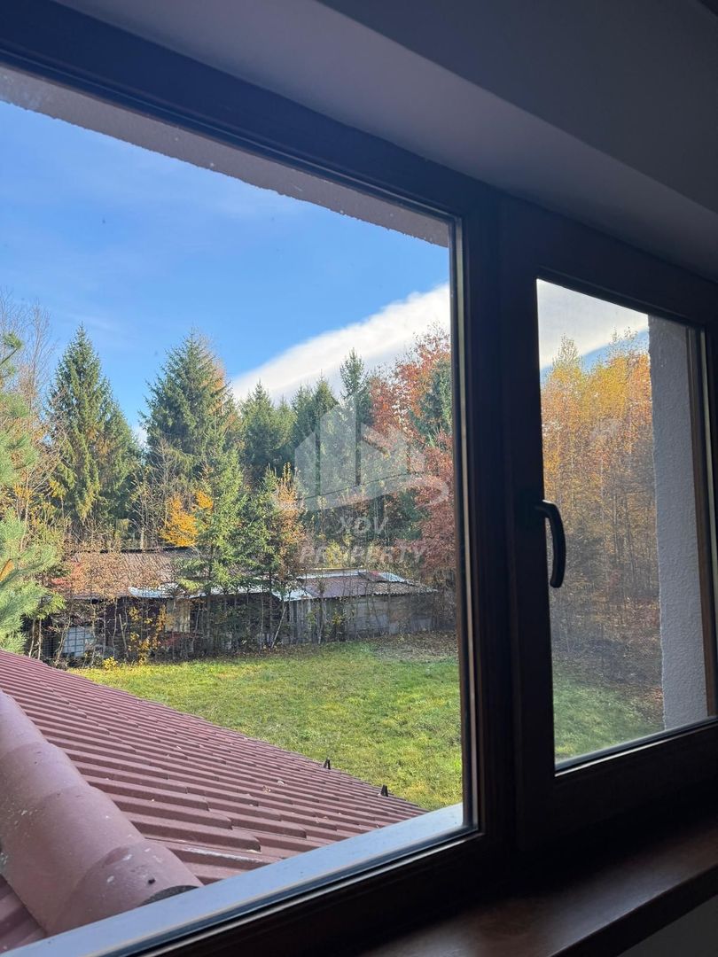 Pensiune/ Vila Valea Avrigului - Poză 23