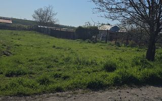 TEREN EXTRAVILAN-BALTAG - Poză 1