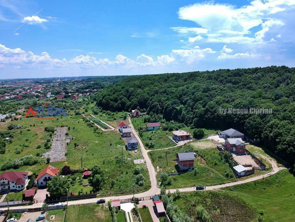 Vanzare teren 904 mp, Bascov, langa padure - Poză 8