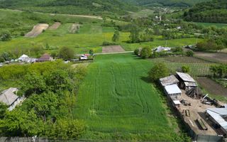 Teren de vânzare, Sat Valea Mare, Com. Roșiori, Bacău - Poză 6
