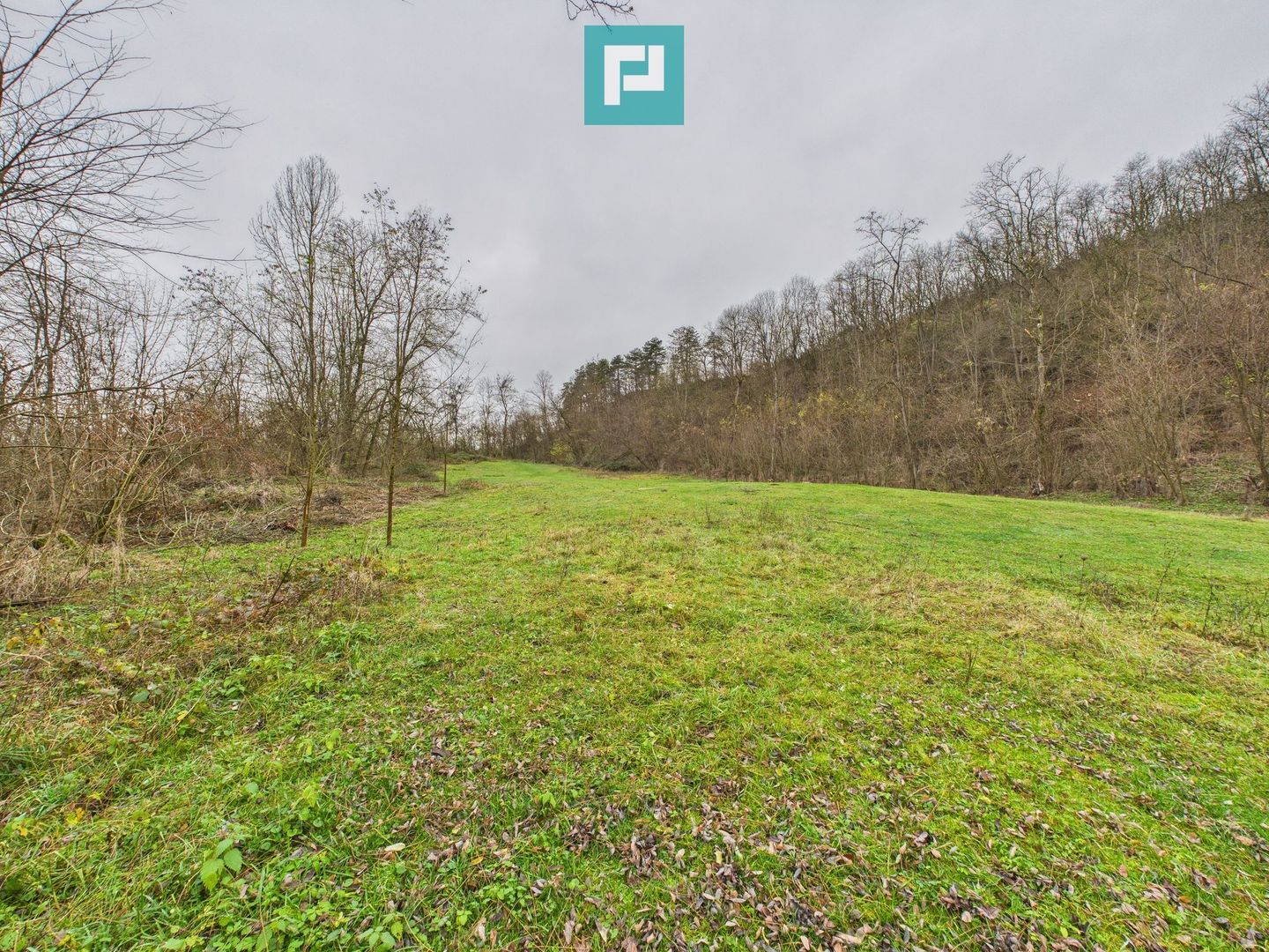 Casă cu teren de 24.679,73 mp, în Hălmagiu, Arad - Poză 21