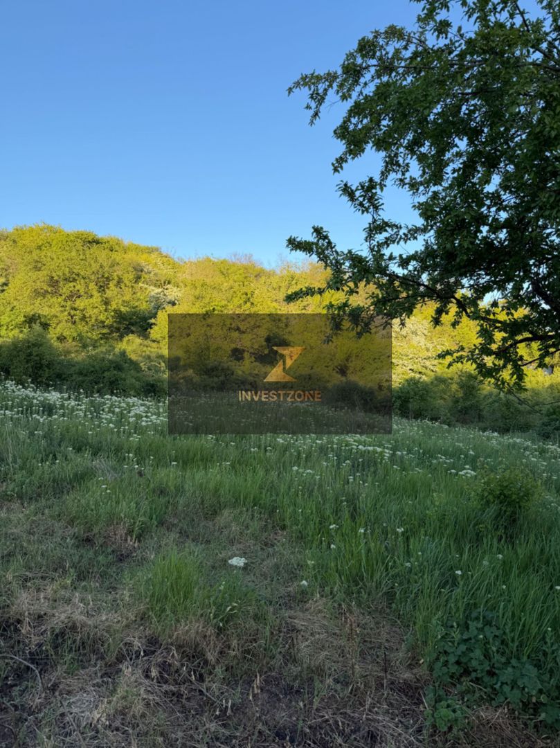 ⭐  Teren de 2.700 mp cu front generos – Ocazie în Oncea - Poză 19
