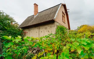 Lot pomicol de 6 ari în Ialoveni, cu construcție auxiliară. - Poză 13