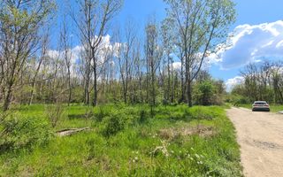 Teren de vanzare / Dem Radulescu - Poză 7