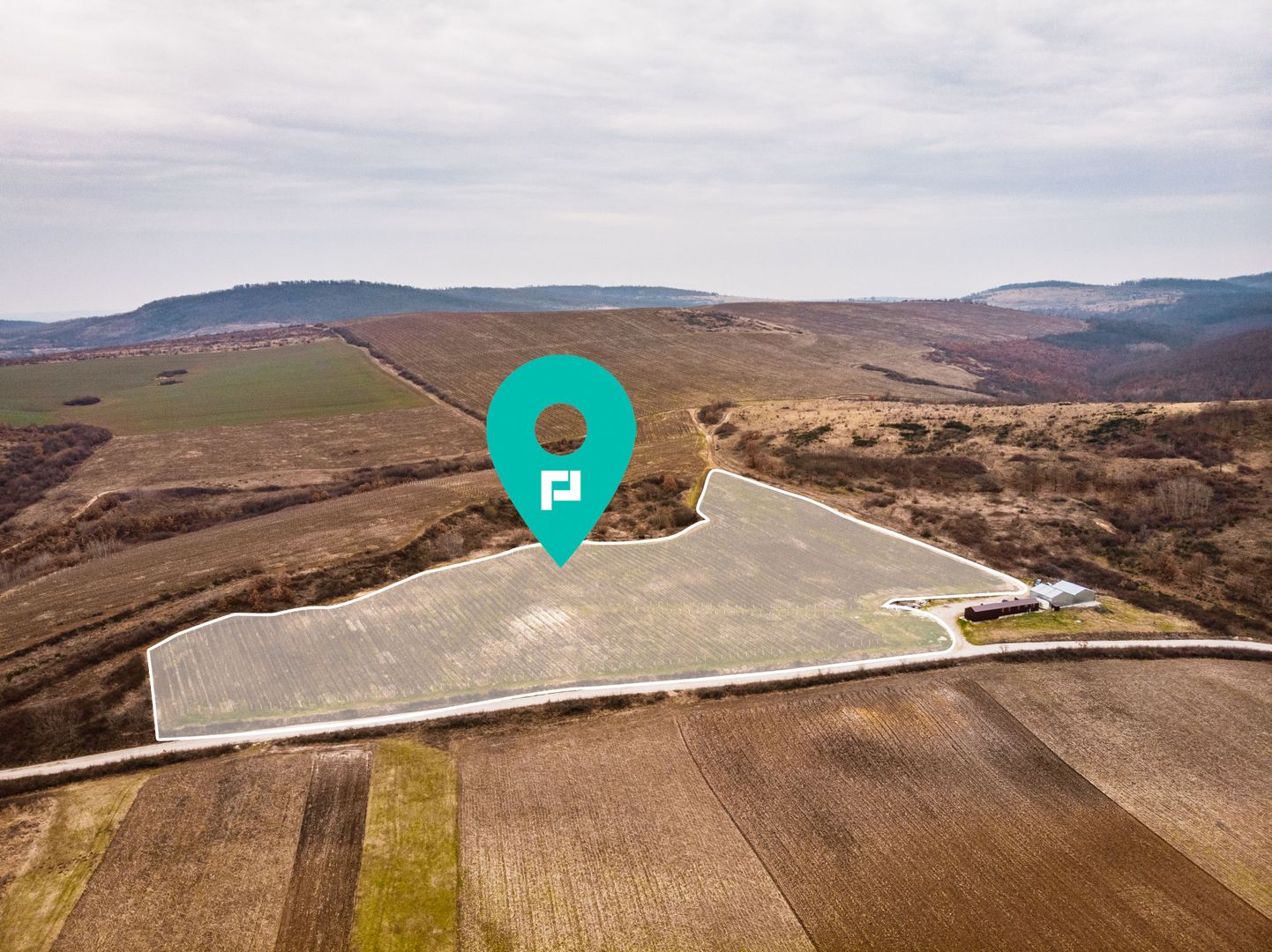 Vie de 115 Hectare în satul Dud, județul Arad - Poză 1