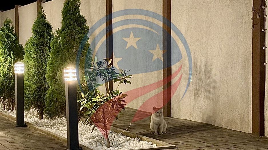 Casa superba de vanzare str Agrisului/Craiova - Poză 8