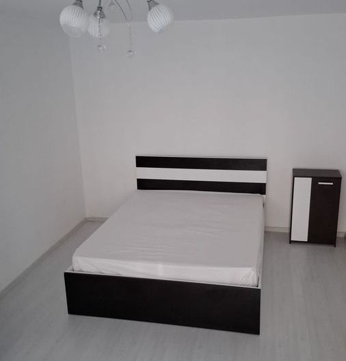 Apartament 2 camere de inchiriat sebastian petre ispirescu - Poză 8