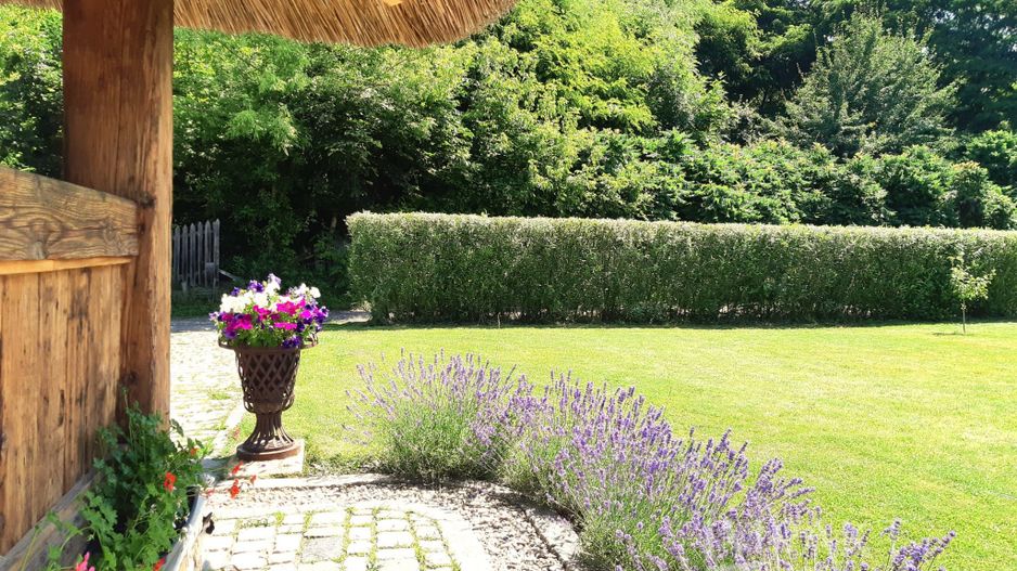 Casa traditionala de vis, aproape de Cluj-Napoca - Poză 6