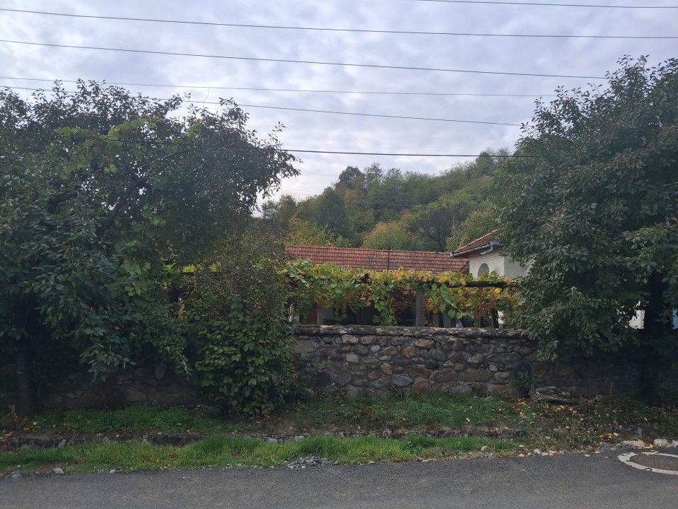 Casă tradițională cu teren generos – Borosteni, Peștișani, jud. Gorj - Poză 4