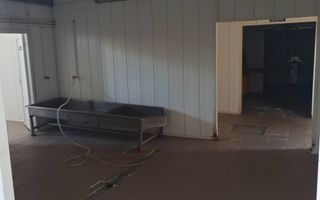 HALA ideala pentru PRODUCTIE ALIMENTARA, Poiana, Ovidiu – 827 mp, teren 4066 mp - Poză 23