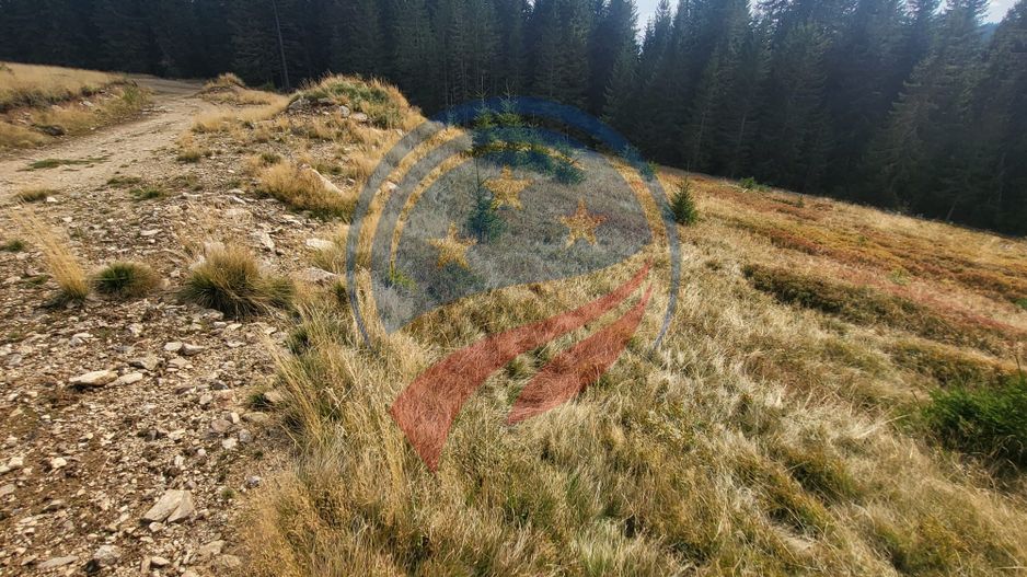 Teren de vanzare in Horezu/Bolca Pietrele Scrise/Valcea - Poză 6