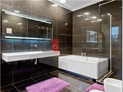 Inchiriere  Vila  Erou  Iancu de Nicolaie - Jolie Ville - Poză 27