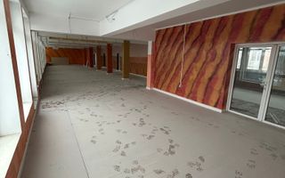 Spatiu Comercial | 335 mp | Zona Turnișor - Poză 1