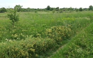 Teren Buftea cu iesire la lac - Poză 10