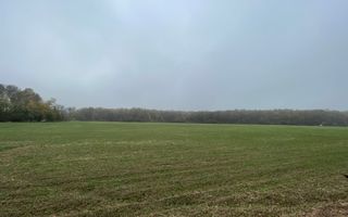 9400 mp | Ideal pentru investitie | Tunari | Deschidere la padure - Poză 5