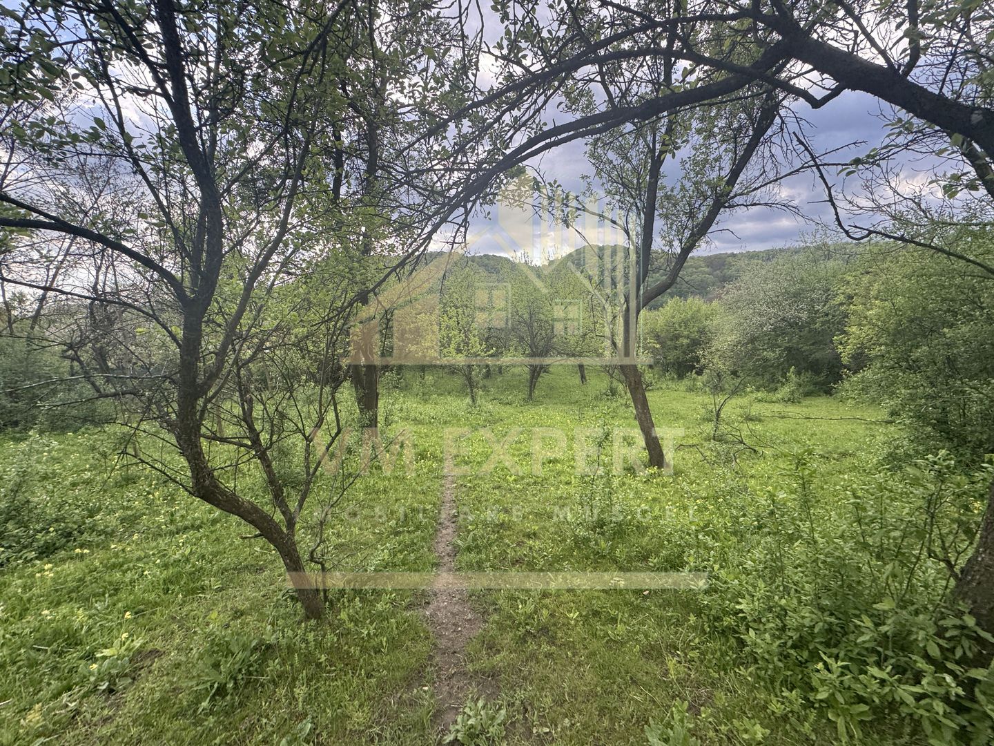 TEREN INTRAVILAN 7018 MP CAMPULUNG - Poză 17