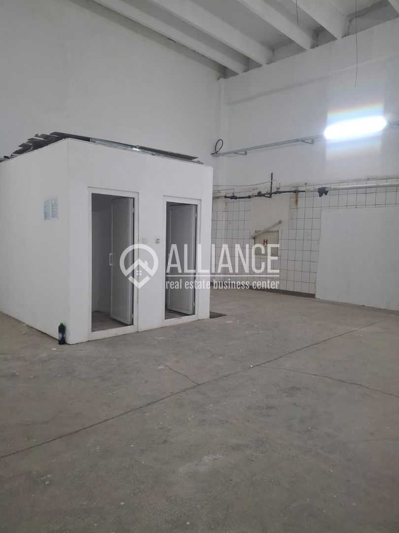ZONA INDUSTRIALA (COD04)-Hala 270 mp ideal service auto - Poză 4