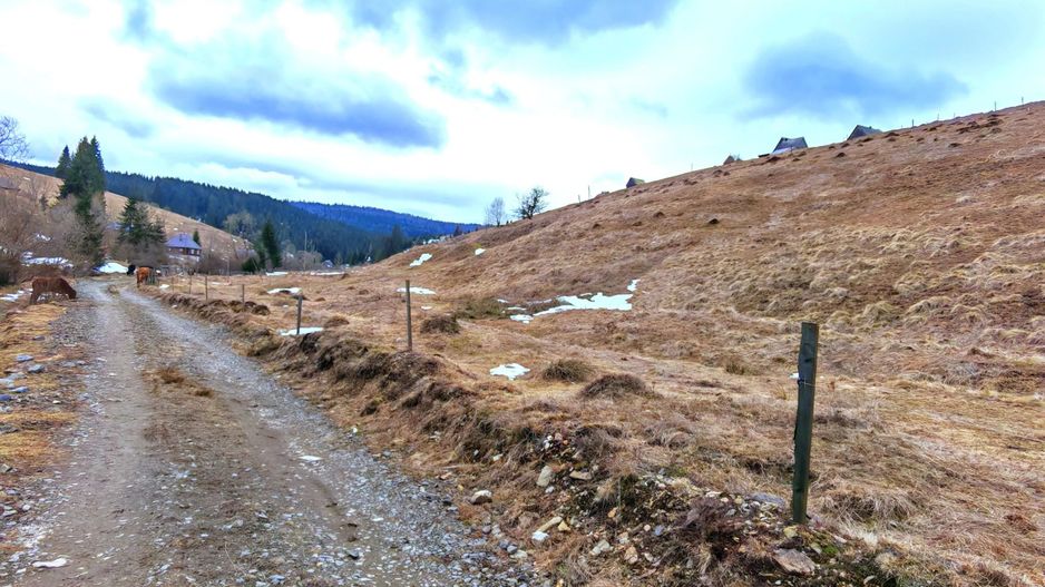 8.263 mp Teren cu Pârâu și Izvoare în Beliș-Fântânele, Cluj - Poză 3