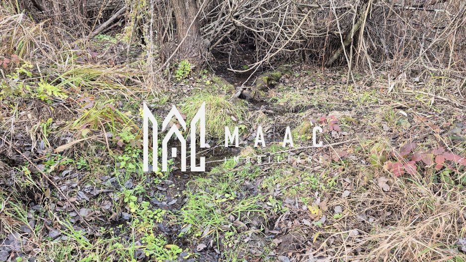 Teren de vanzare | Orlat | Extravilan - Poză 9