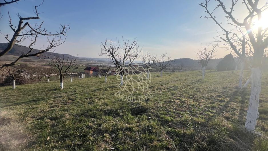 Teren 3100 mp-livada-ideal casa-Mititei - Poză 6