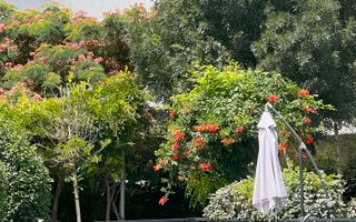 APARTAMENT 4 CAMERE | PROIECT NOU | PISCINA IN COMPLEX - Poză 14