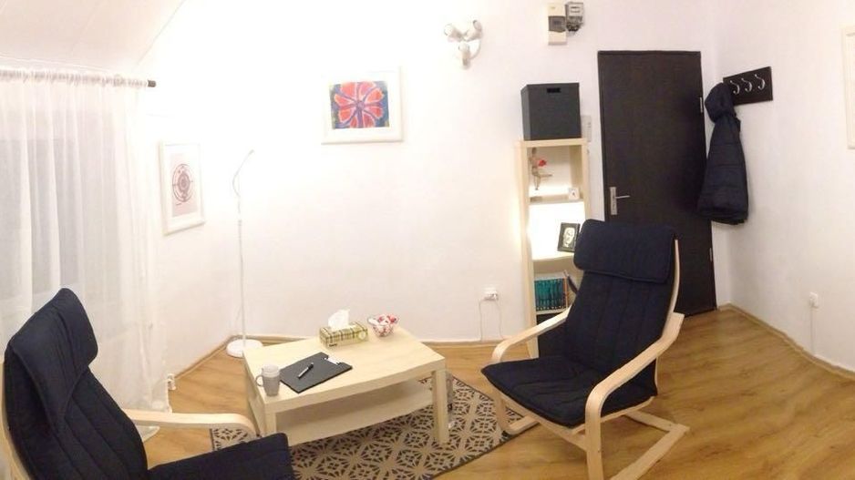 2 camere| DOROBANTI-RADU BELLER - Poză 5